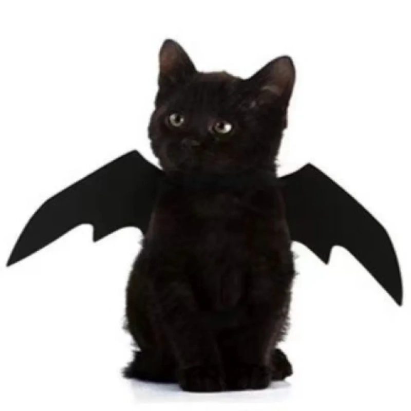 Halloween Cats and Dogs Dress Up Pets Transformation Costumes Bat Wings Halloween Funny Atmosphere Pet Supplies