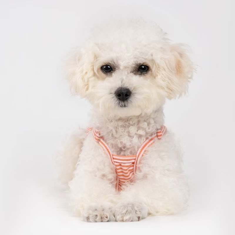 Striped Pet Physiological Pants One-Piece Strap Dog Menstrual Pants Teddy Bichon Bear Puppy Sanitary Pants Dog Underpants Shorts