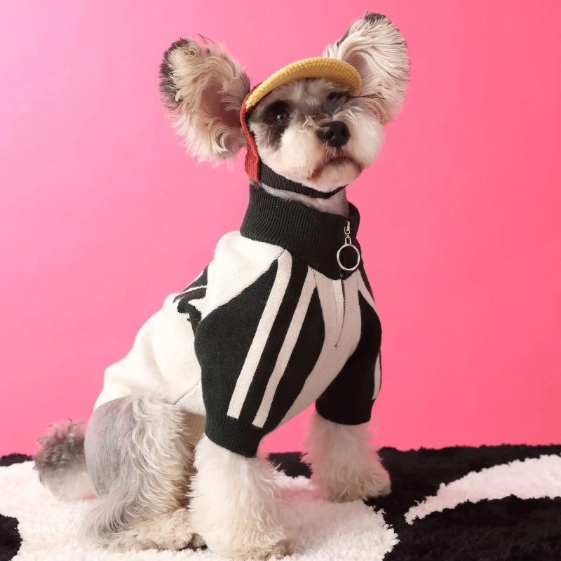 Men's Teddy Schnauzer Bears Sports Sweater, Little Dog Clothes, Autumn and Winter Cardigan, Handsome Pet Wear, New
