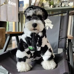 Winter Pet Dog Clothes Warm Fleece Dog  Coat Dog Cat Same Style Trendy Fur Pet Warm Clothes