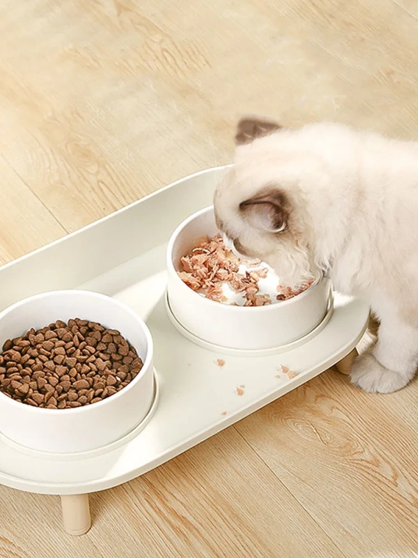 Food Feeders Pet Cat Double Bowls Feeder Adjustable Height Cats Dogs Drinker Water Bowl Dish Elevated Feeding Kitten Supplies