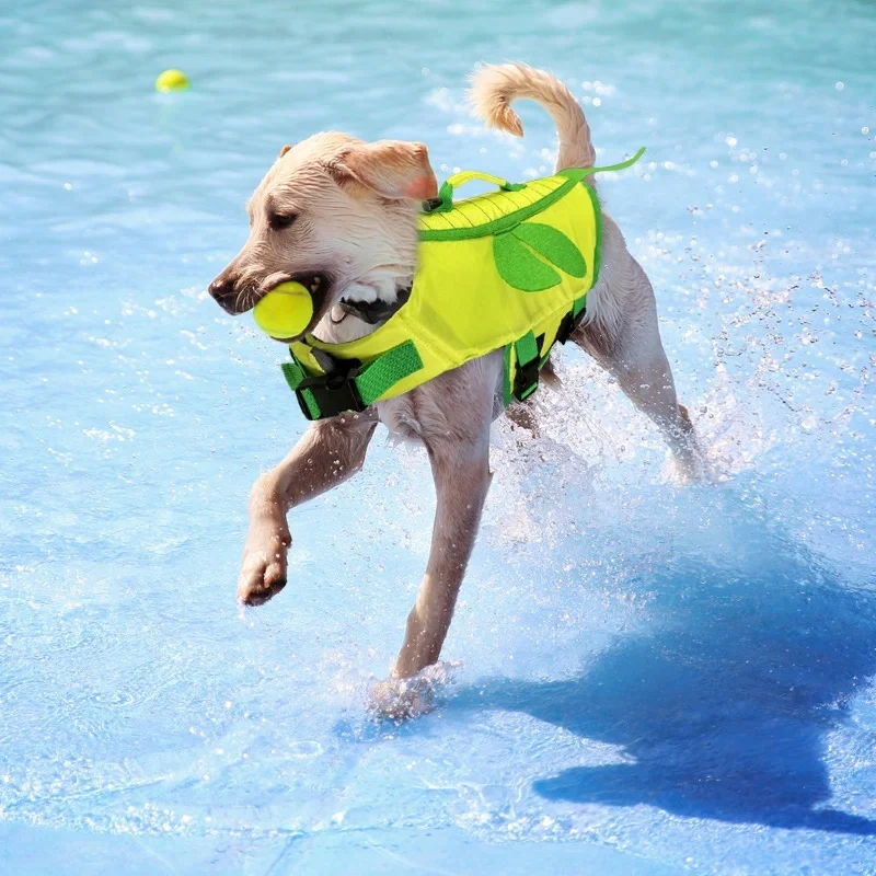 Pet life jackets, pet swimming supplies, dog swimming clothes, summer dog swimming life jackets