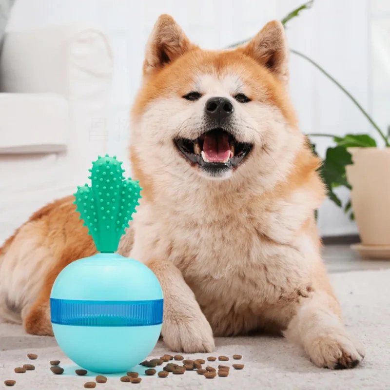 Tumbler Cactus Leaky Food Ball Dog Toy Slowly Feeding Bite-resistant Durable Interactive Training Pet Supplies Entertainment Toy