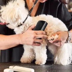 Professional Pet Deshedding Brush Ergonomic Pet Groom Brush Multifunctional Pet Groom Brush Deshedding Grooming Tool For Dog