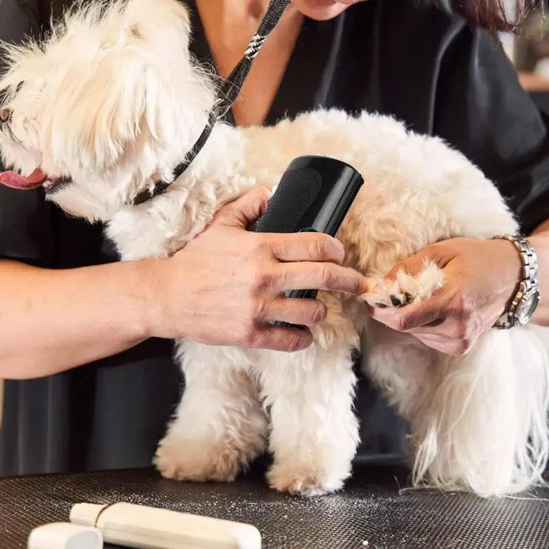 Professional Pet Deshedding Brush Ergonomic Pet Groom Brush Multifunctional Pet Groom Brush Deshedding Grooming Tool For Dog