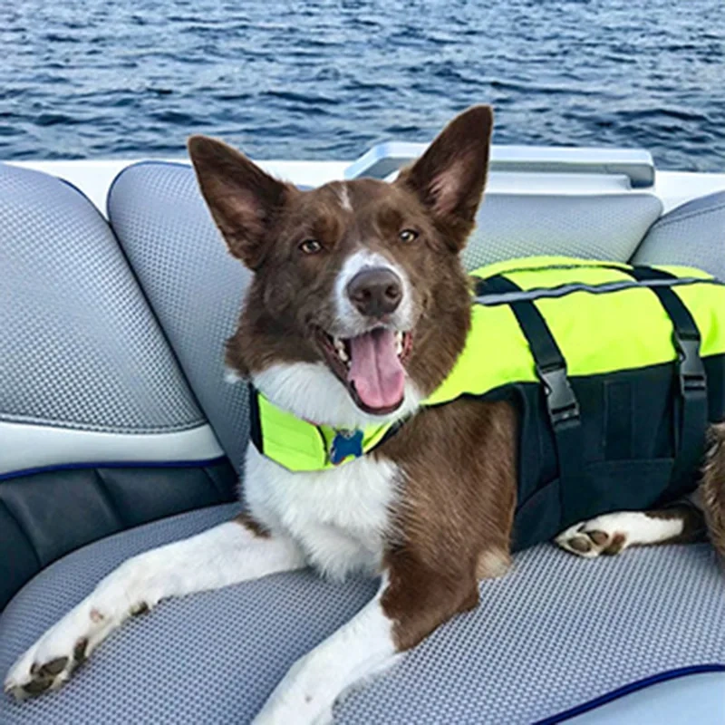 Inflatable Dog Life Jacket for Small Medium Large Dogs Boating Swimming Vest for Dogs Outdoor Portable Safe Folded Dog Swimsuit