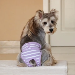 Wholesale Coustom Luxury Pet Clothes Factory Cat Outfits Washable Design Animal Apparel Dog Pants Manufacturer