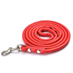 Fashionable Multicolor Pu Round Rope Pet Leash For Medium Small Dogs Pet Supplies Wholesale Stock Available