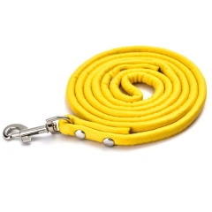 Fashionable Multicolor Pu Round Rope Pet Leash For Medium Small Dogs Pet Supplies Wholesale Stock Available