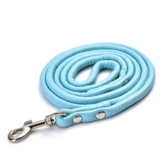 Fashionable Multicolor Pu Round Rope Pet Leash For Medium Small Dogs Pet Supplies Wholesale Stock Available