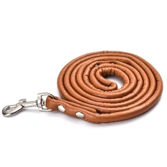 Fashionable Multicolor Pu Round Rope Pet Leash For Medium Small Dogs Pet Supplies Wholesale Stock Available