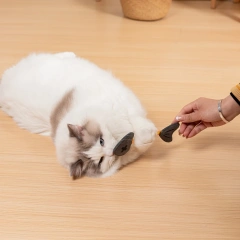 Catnip cat Toys Teeth Sharpening Anti-bite Spring Plush Catnip Toys Kitten Interactive Chew Toys Pet Supplies