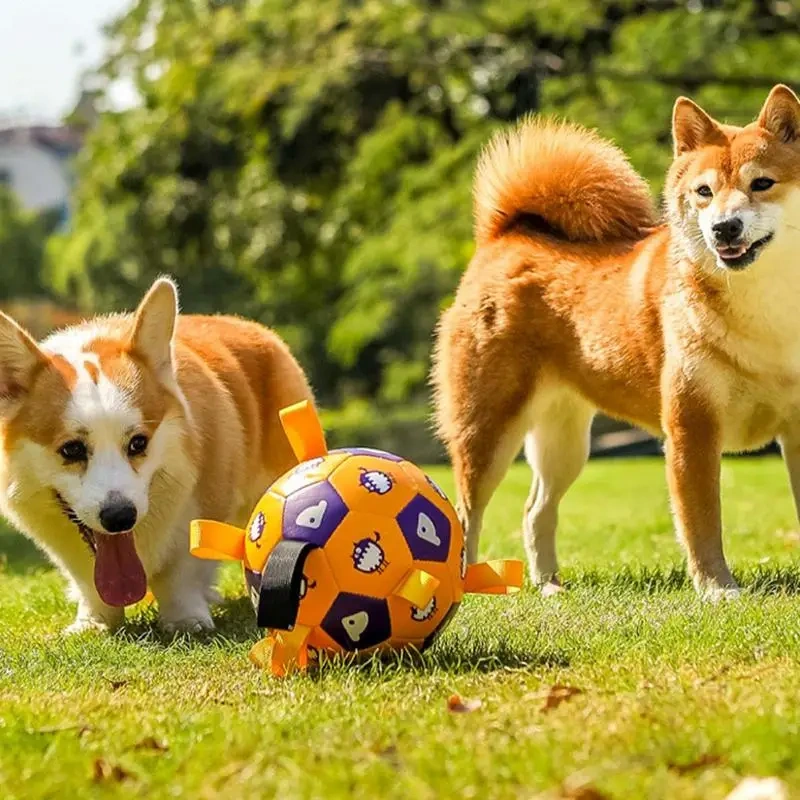Dog Soccer Ball Toy Interactive Fetching Dog Toys With Straps Durable Outside Dog Toys Bite-resistant Dog Balls For Medium To