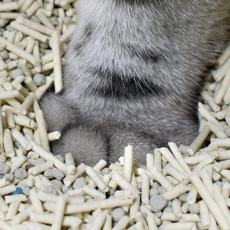 Wholesale factory cat sand Biodegradable Cat litter is easy to clean dust free clumping flushable tofu Cat litter