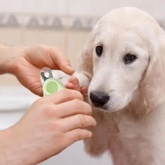 Led Light Pet Nail Trimmer Lighted Dog Nail Trimmers File Sharpening Pet Dog Nail Grinder Trimmers Transparent Baffle Return