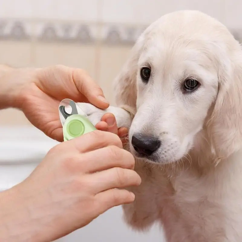Led Light Pet Nail Trimmer Lighted Dog Nail Trimmers File Sharpening Pet Dog Nail Grinder Trimmers Transparent Baffle Return