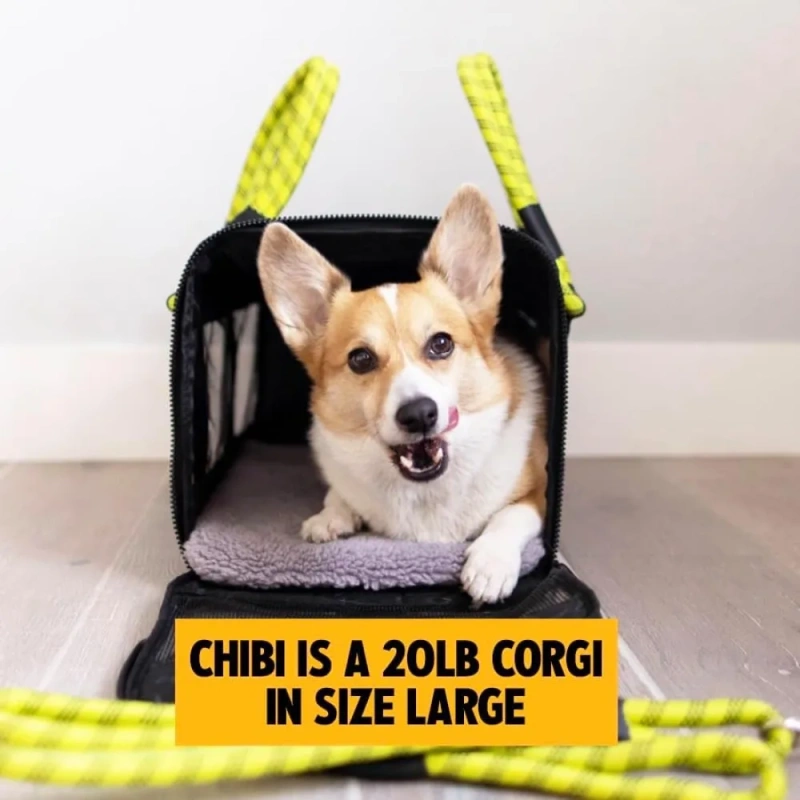 Airline-Compliant Pet Carrier | includes Leash | Suitable for Pets up to 20lbs