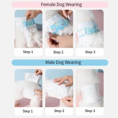10Pcs Disposable Pet Diapers for Males Females Dogs Absorbent Doggy Disposable Underwear Physiological Pants for Dogs Puppy