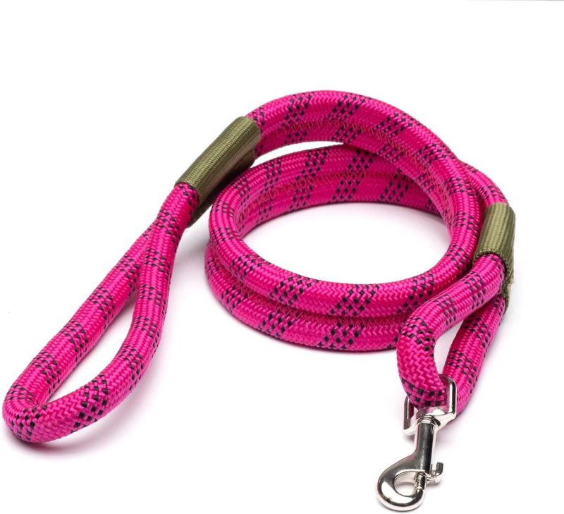 Advanced Customization airline-Compliant Pet Carrier | includes Leash | Suitable for Pets up to 20lbs