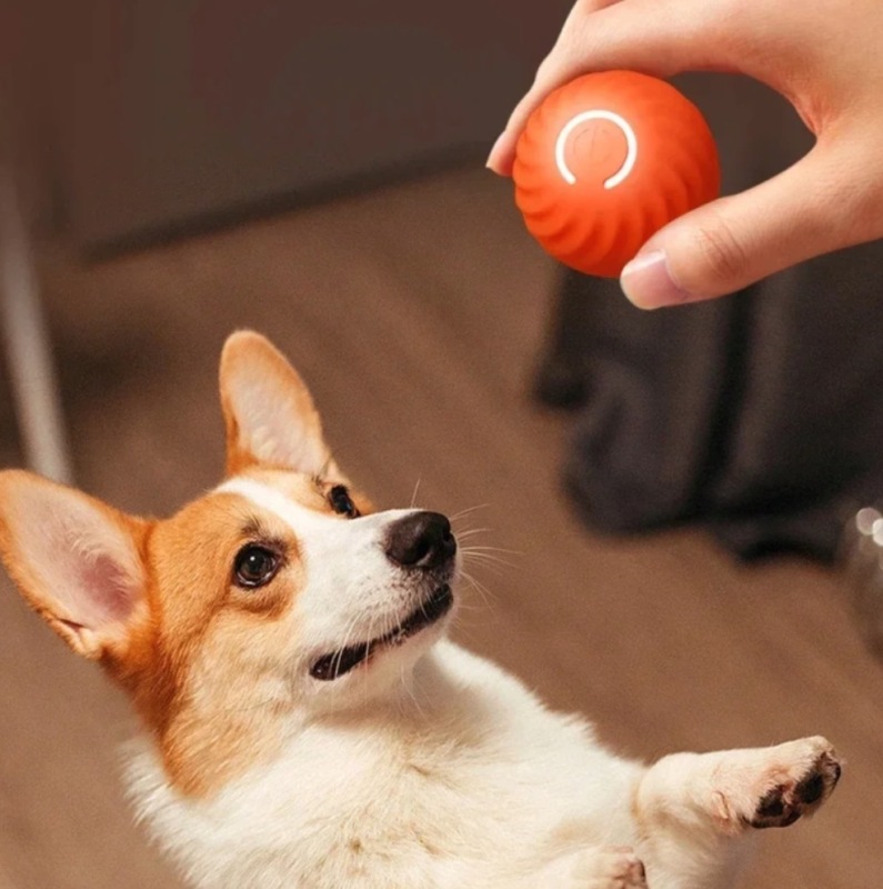 2024 Kitten & Dog Training Pet Interactive Toy Automatic Rolling Smart Electric Toy Ball TPR Material for Indoor Play