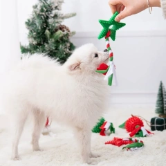 Dog Toy Snowflake Christmas Tree Knot Bite Resistant Teddy Bear Interactive Toy Ball Small Dog TPR Stress Reliever