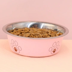 A pet stainless steel cat and dog bowl is non slip and easy to clean indoors
