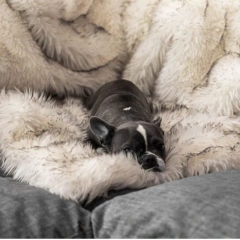 Dog Bed with Waterproof and Washable Cover Luxury Faux Fur Orthopedic Fluffy Pet Beds Memory Foam Extra Large Dog Sofa cushion