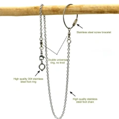 Parrot Stainless Steel Foot Ring Chain Opening Activity Ring Nyasa Cockatiel Cockatoo Sun Conure Monk Parakeet Stand Anklet