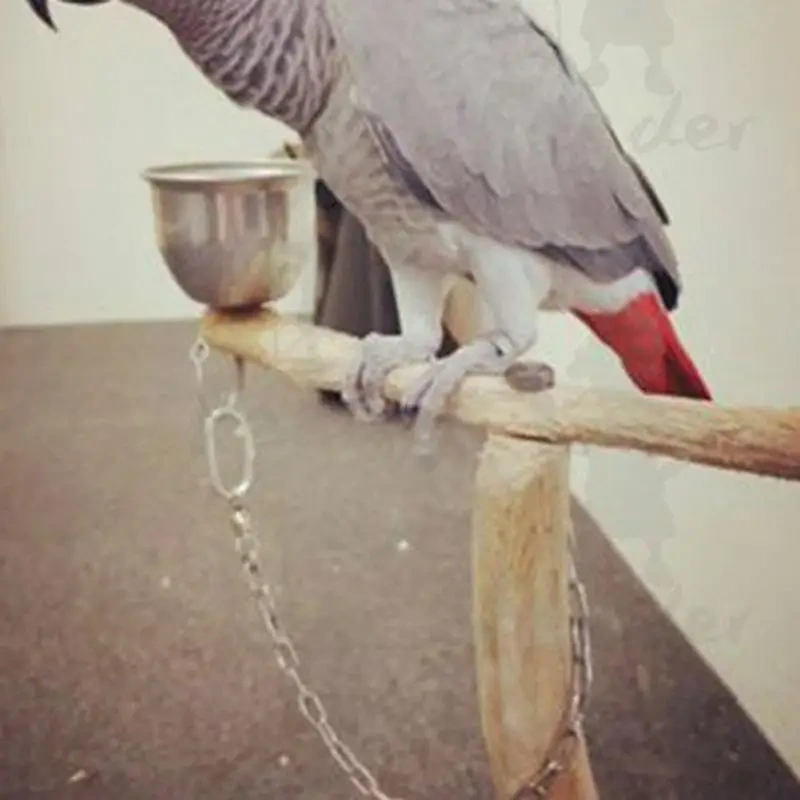 Parrot Stainless Steel Foot Ring Chain Opening Activity Ring Nyasa Cockatiel Cockatoo Sun Conure Monk Parakeet Stand Anklet