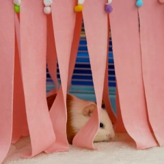 Guinea Pig Hide Corner Fleece Sleeping Bed Cozy Hamster Hammock Guinea Pig Cage Accessories Peekaboo Toys For Flying Squirrels