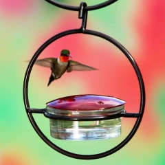 Circular Hanging Hummingbird Feeder with Red Glass Bowl Hummingbird Drinker Feeder for Outside Garden Backyard Patio Deck