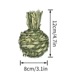 Small Animal Chew Toys for Ribbit Bunny Hamster Guinea Pigs Chinchillas Tooth Cleaning Molar Grinding Toys Samll Pet Supplies