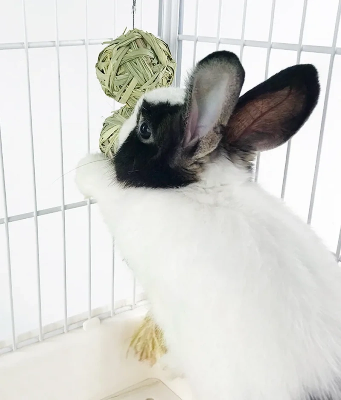 Small Animals Chew Toys Hanging Chew Balls for Bunny Rabbit Chinchilla Guinea Pig Chinchilla Bunny