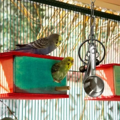 Stainless Steel Bird Toys Stainless Steel Small Bird Toys Hang Bell Ornaments Pet Parrot Bell Toy Bird Chewing Toy With Sweet