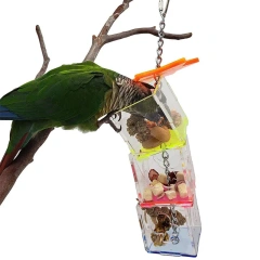 Bird Seeker Acrylic Parrot Puzzle Training Bird Toys Bird Supplies Parrot Toys
