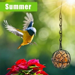 Metal Bird Feeder Set with Hanging Chain, Squirrel Proof Bird Feeders, Outdoor Garden, Hummingbird Feeders, 4Pcs