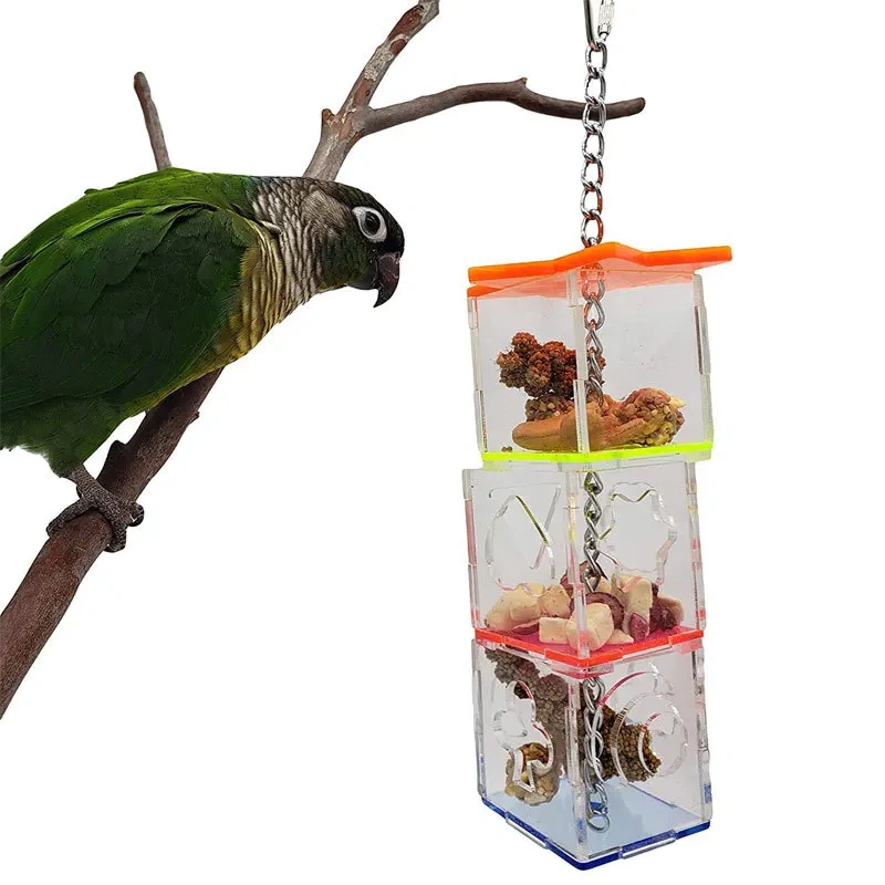 Bird Seeker Acrylic Parrot Puzzle Training Bird Toys Bird Supplies Parrot Toys