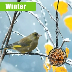 Metal Bird Feeder Set with Hanging Chain, Squirrel Proof Bird Feeders, Outdoor Garden, Hummingbird Feeders, 4Pcs