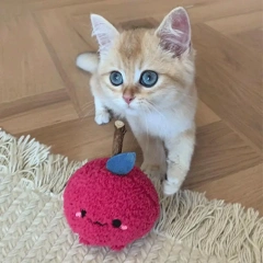 Chew Toy For Cats Funny Cute Onion Toy Cartoon Chew Stick Kittens Pet Supplies Natural Safe Cat Toy For Pet Cat Kitten Oral