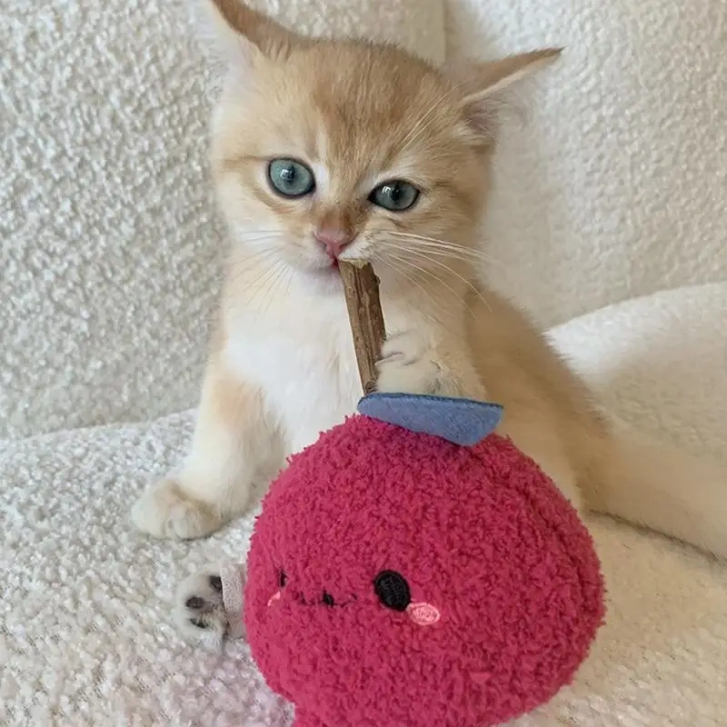 Chew Toy For Cats Funny Cute Onion Toy Cartoon Chew Stick Kittens Pet Supplies Natural Safe Cat Toy For Pet Cat Kitten Oral