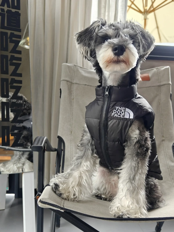 Dog Clothes Autumn Winter Dog Jacket Teddy Schnauzer Bomei Corgi Pet Black Warm Down Vest Dog Clothes for Small Big Dogs