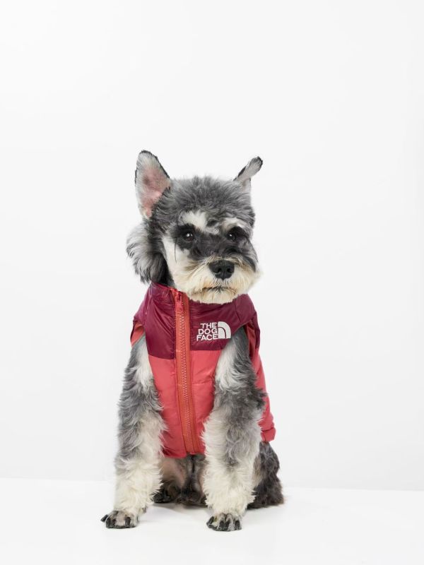 Dog Clothes Autumn Winter Dog Jacket Teddy Schnauzer Bomei Corgi Pet Black Warm Down Vest Dog Clothes for Small Big Dogs