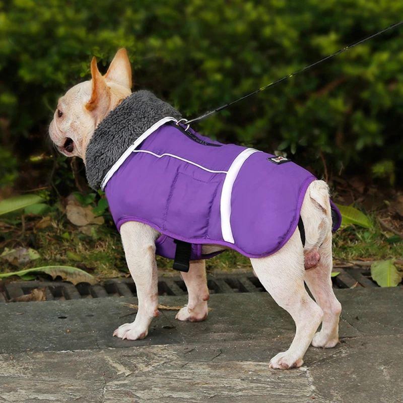 Spring/Fall New Thickened Warm Dog Clothes Waterproof Reflective Puppy Coat Jacket Pet Dog Jumpsuits For Small Big Dogs Clothes