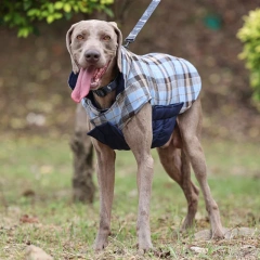 Warm Fleece Jacket with Belt for Dogs, Big Dog Clothes, Plaid Print, Greyhound Weimaraner Clothing, Winter Fashion