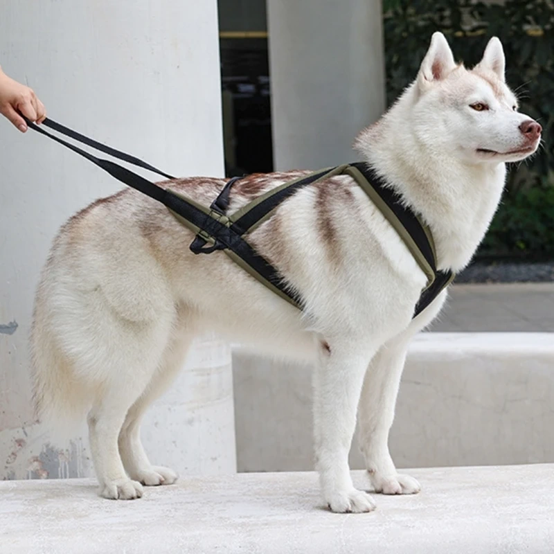 Pet Safety Harnesses Durable Dog Harnesses Comfortable Dog Harnesses Dog Walking Gear for Safe Outdoor Walks