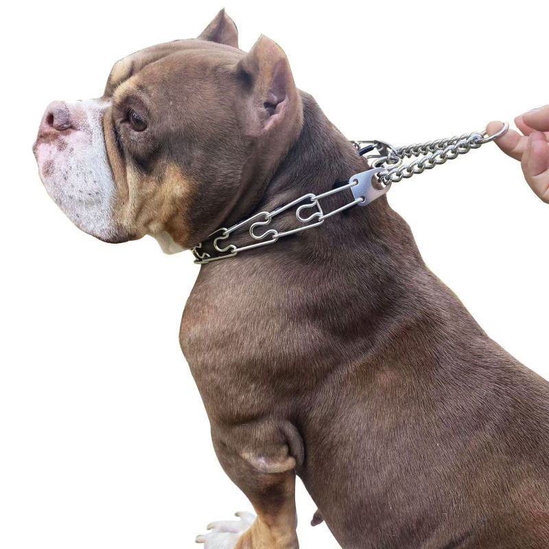 Stainless Steel Removable Training Dog Collar, Stimulation Dog Collar