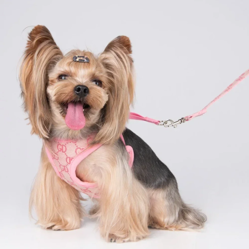 Designer Pet Cat Dog Harness Lead Set Leash Reversible Luxury Dog Vest Harness For Small Dogs Chihuahua Pug Chest Strap Puppy