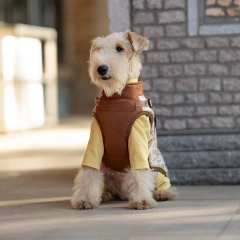 Wholesale Luxury Dog Jackets Vest Factory Hoodie Pet Clothes Waterproof Dog Coat With Harness Dog Trench Coat