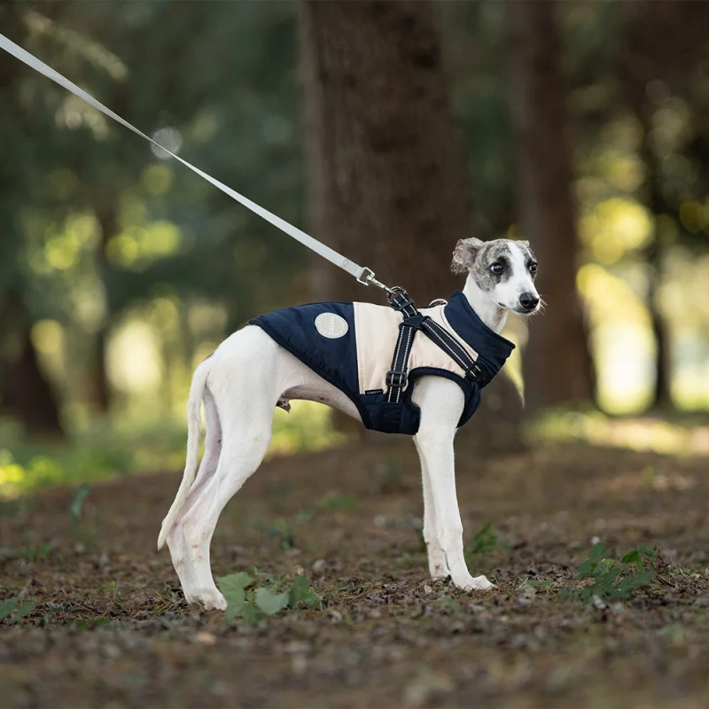 Custom Luxury Dog Jackets Coats Manufacturer Hoodie Pet Clothes Waterproof Dog Coat With Harness Dog Clothes