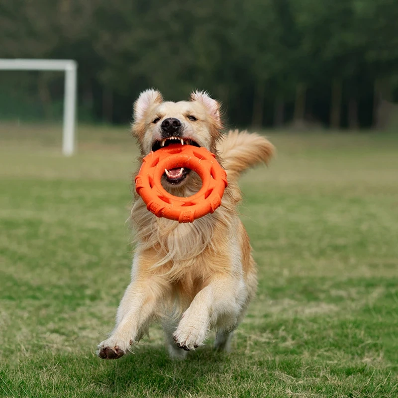 Rubber Dog Toys for Dog Chewing Bite Resistant Squeaky Training Playing Toy Interactive Dog Toys for Large Dogs Teeth Cleaning